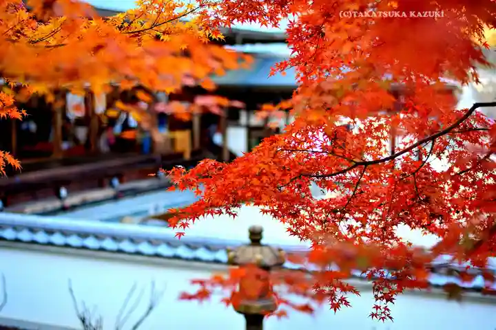 宝徳寺(群馬県)