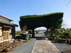 本勝寺の山門