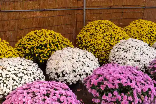 武水別神社(長野県)