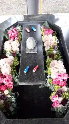 新琴似神社の手水舎