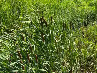 鰐河神社(香川県)