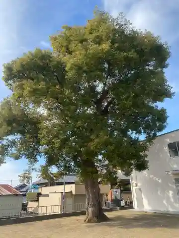 黒鳥天満宮天神社(大阪府)