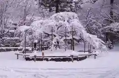 大原野神社の自然