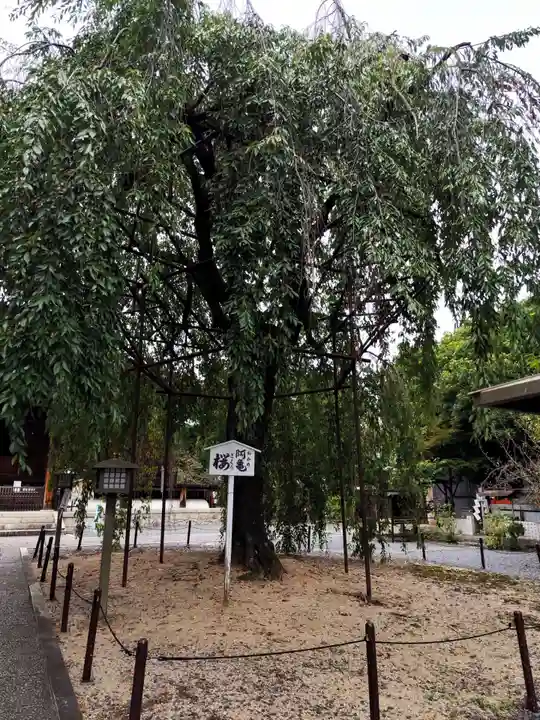 大報恩寺(千本釈迦堂)(京都府)