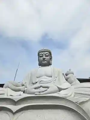 御誕生寺（猫寺）(福井県)