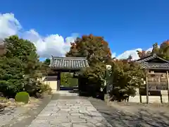 神光院(京都府)