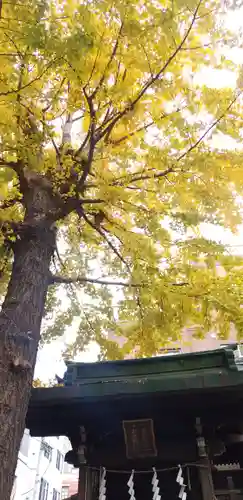 小野照崎神社の自然