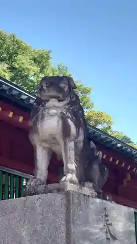 日光二荒山神社中宮祠の狛犬