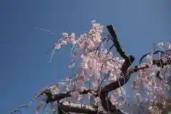 願成寺(山梨県)