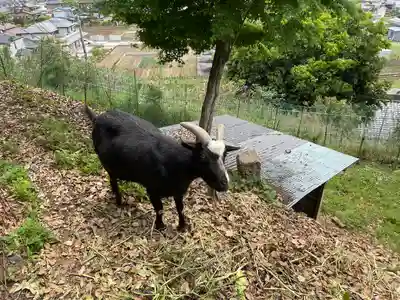 賀茂別雷神社(栃木県)