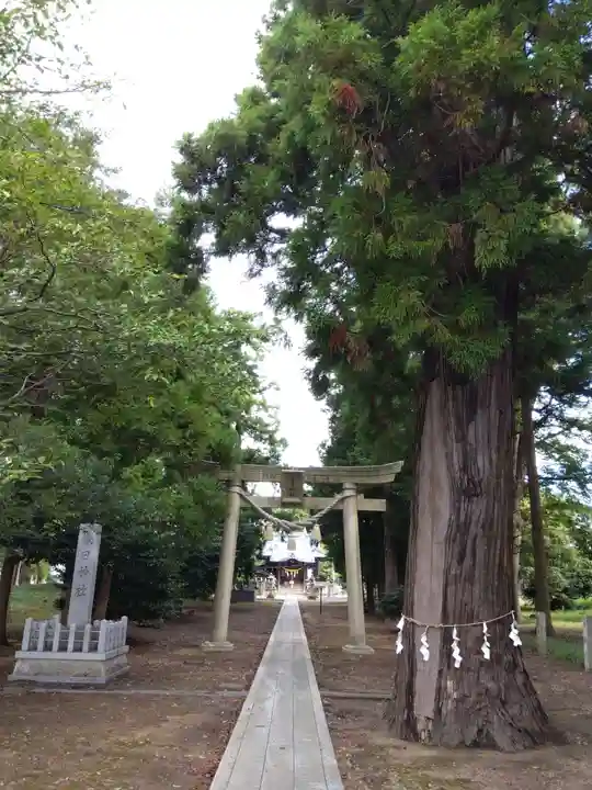 春日神社(福井県)