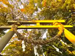 白鳥神社(長野県)