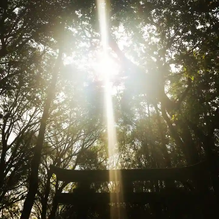 稲荷神社の自然