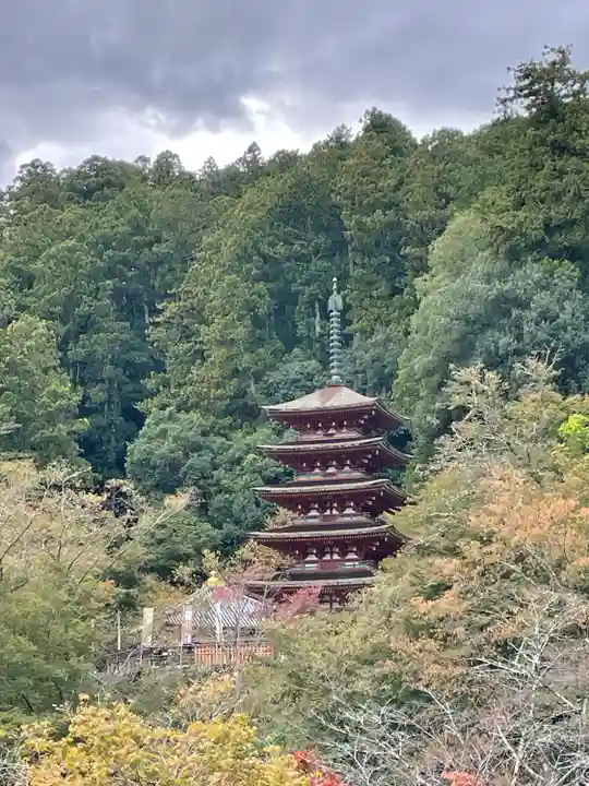 長谷寺(奈良県)