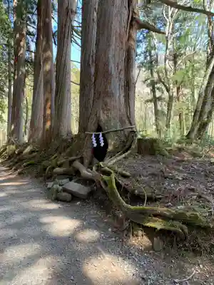 戸隠神社奥社の周辺