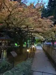 北口本宮冨士浅間神社(山梨県)