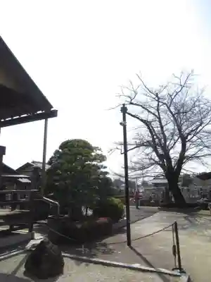 真光寺(千葉県)