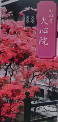 大心院の授与品その他