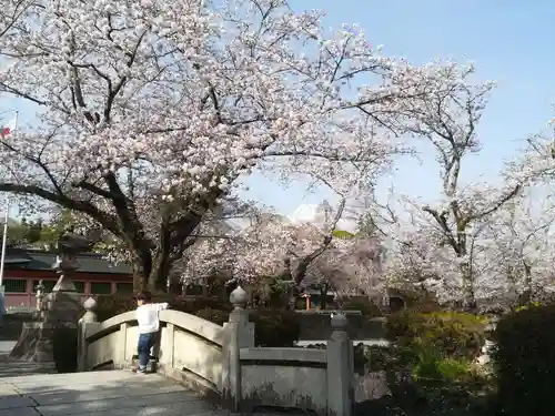 富士山本宮浅間大社の御朱印