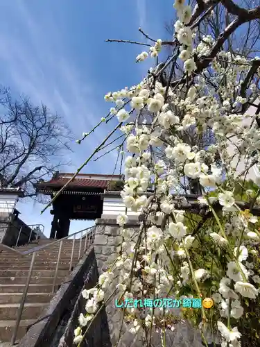 如宝寺(福島県)