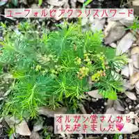 鹿島台神社の自然