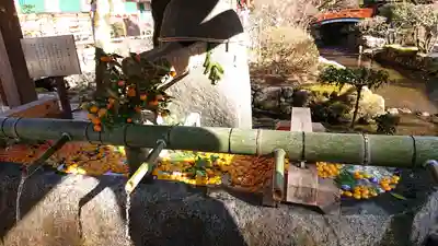 賀茂別雷神社（上賀茂神社）(京都府)