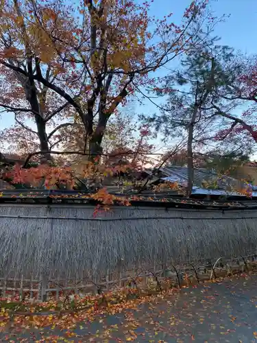 宝厳院(京都府)