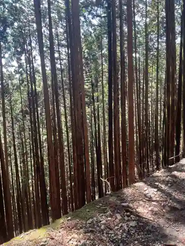 武蔵御嶽神社(東京都)