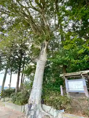 豊原神社(三重県)