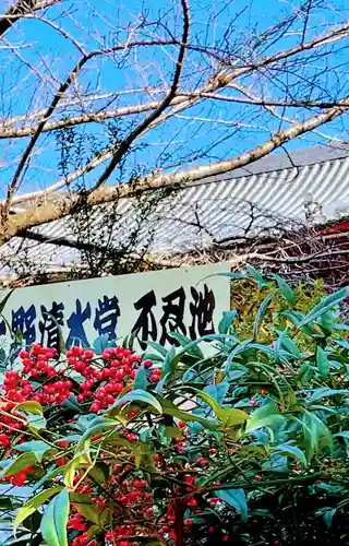 清水観音堂の庭園