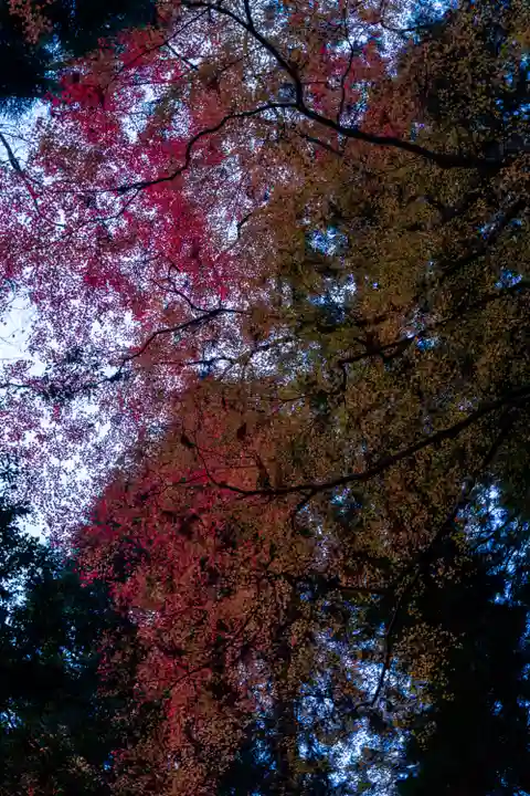 貴船神社奥宮(京都府)