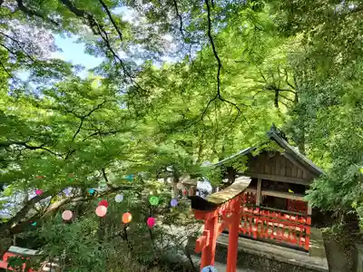 柳谷観音　楊谷寺(京都府)