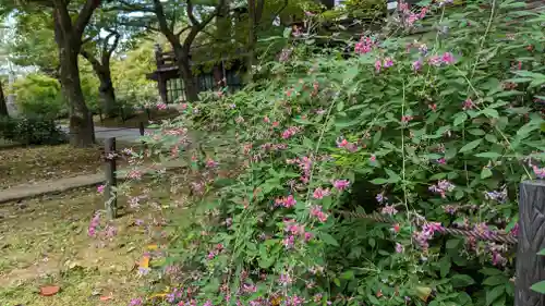 真正極楽寺（真如堂）(京都府)