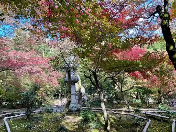 直指庵(京都府)