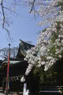 三嶋大社(静岡県)