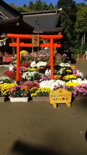 水戸八幡宮の鳥居