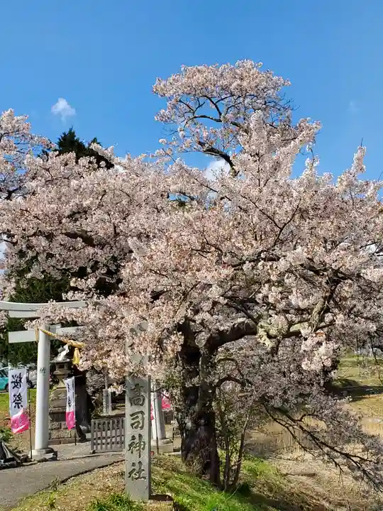 高司神社〜むすびの神の鎮まる社〜(福島県)