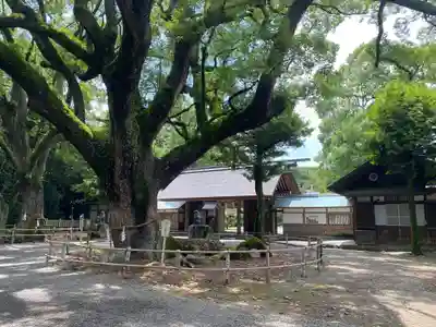 伊曽乃神社(愛媛県)