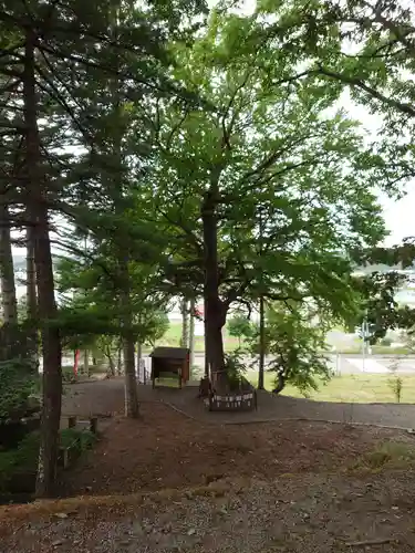 浦幌神社・乳神神社の自然