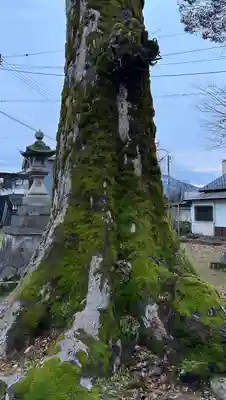 愛宕神社(福井県)