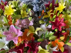 札幌諏訪神社の手水舎(2021年08月08日(日) 09時58分52秒投稿)