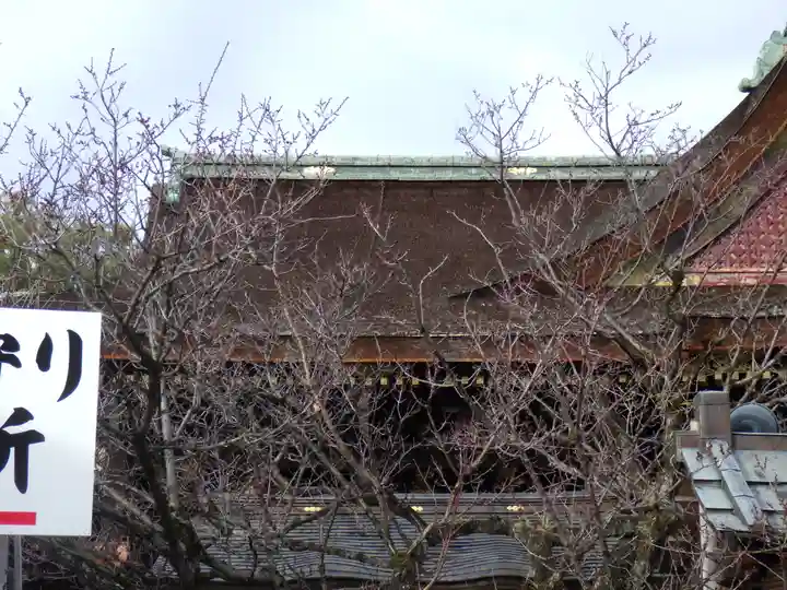 北野天満宮の自然