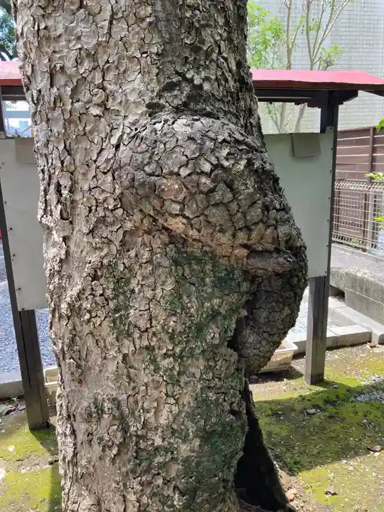 芳川神社(埼玉県)
