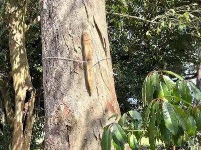飯開神社(滋賀県)