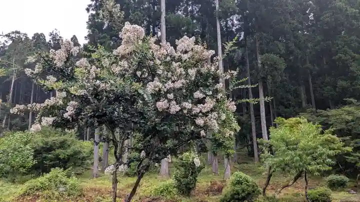 蓮華寺(福井県)