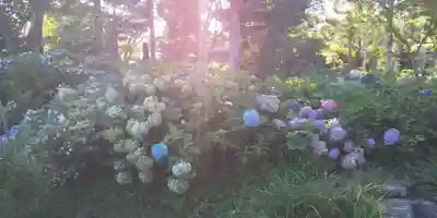 西野神社のその他建物