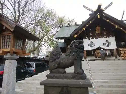 札幌諏訪神社の狛犬