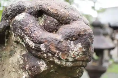 八坂神社の狛犬