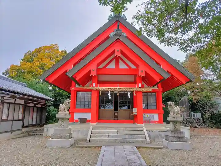 住吉神社(下津住吉町)の本殿・本堂