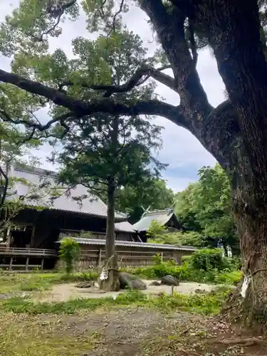 曽許乃御立神社(静岡県)